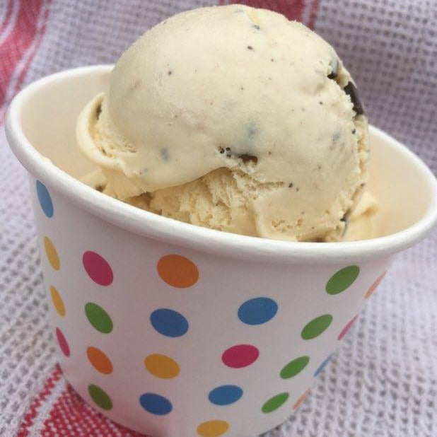 FUN Disposable Ice Cream/Snack Cups - 8 oz. (Pk. of 24)
