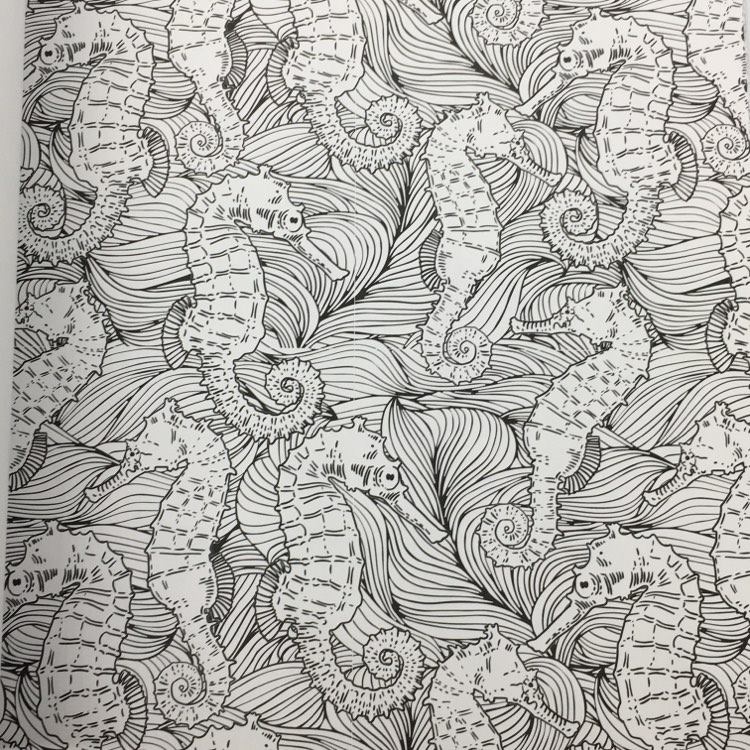 Shine Coloring Book