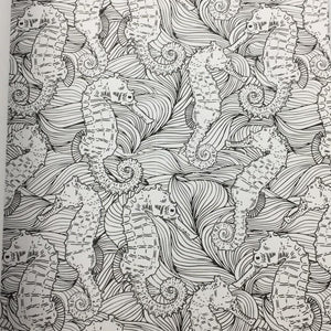 Shine Coloring Book